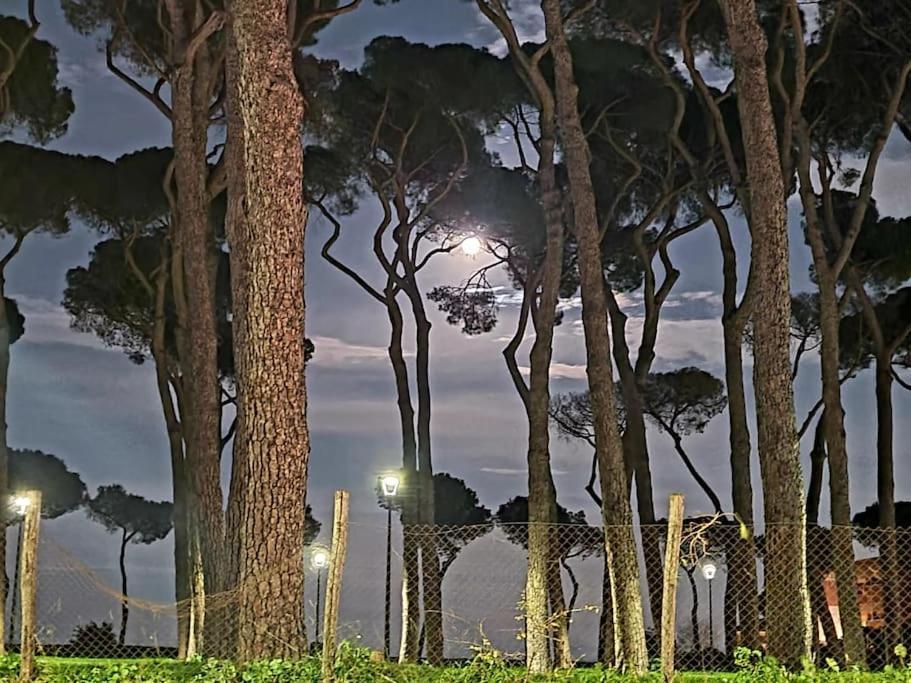 Vila La Casa Della Pineta Řím Exteriér fotografie